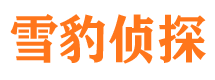 仪陇市婚外情调查